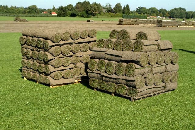 wiegt palette rollrasen