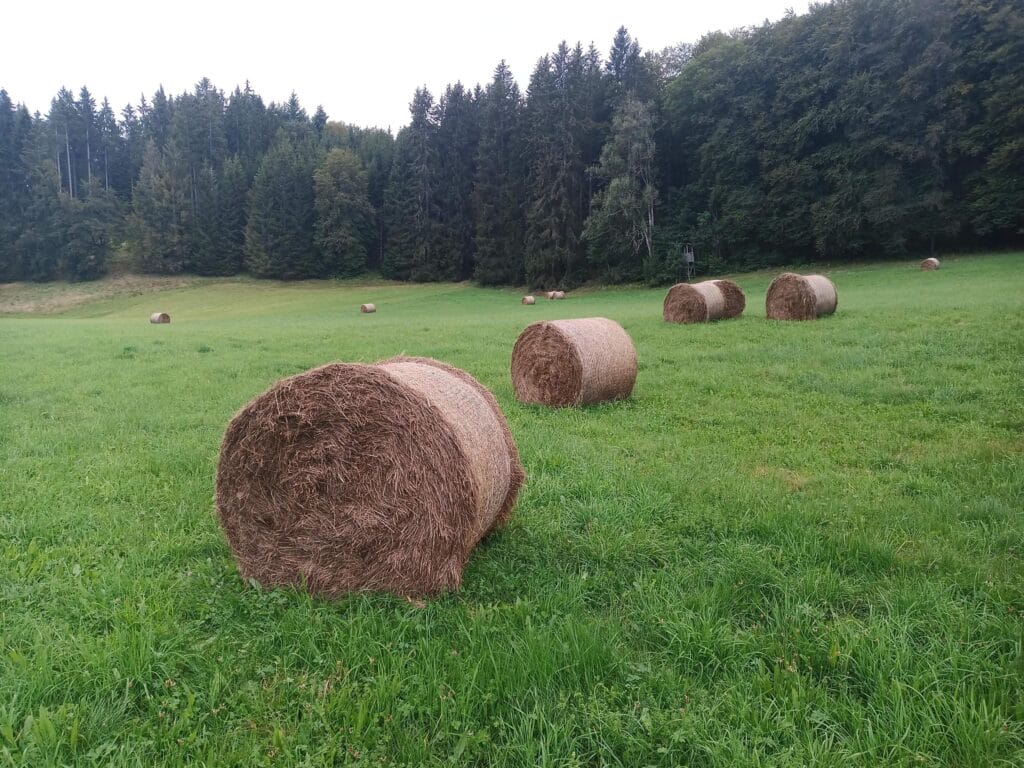 wiegt heuballen