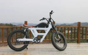 was wiegt ein e bike