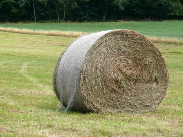 was wiegt ein rundballen heu
