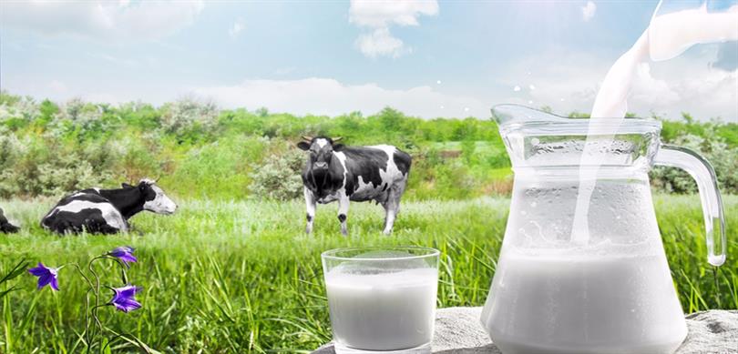 was wiegt ein liter milch