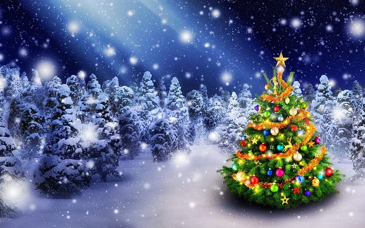 wann werden die weihnachtsbäume abgeholt
