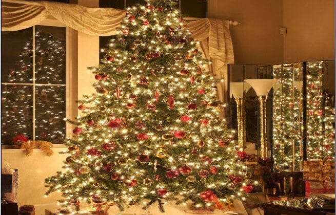 Wann Weihnachtsbaum Abbauen