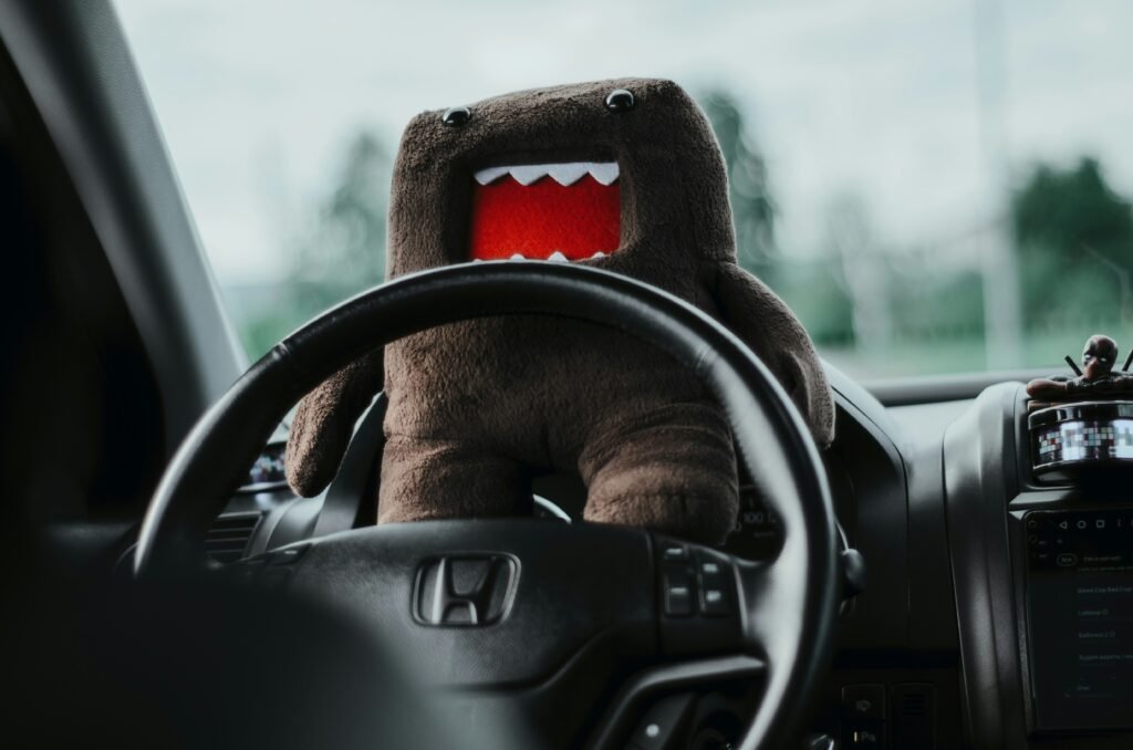 Was zeichnet einen verantwortungsvollen Fahrzeugführer aus