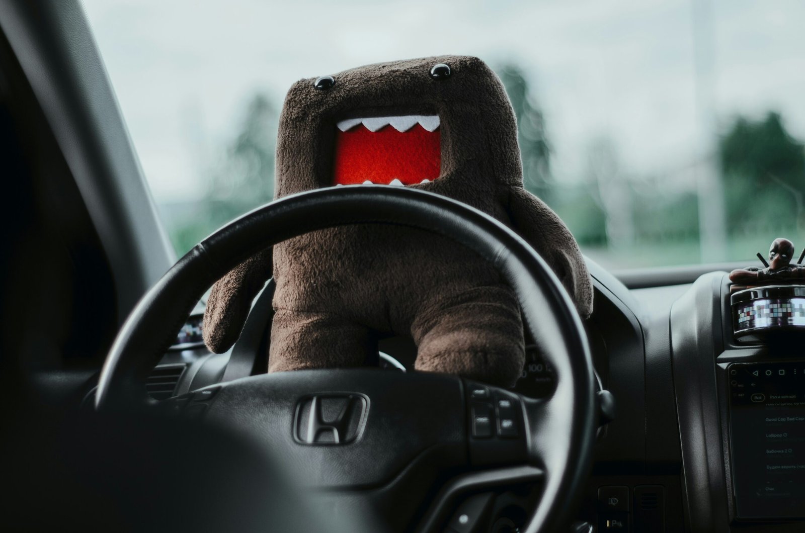 Was zeichnet einen verantwortungsvollen Fahrzeugführer aus