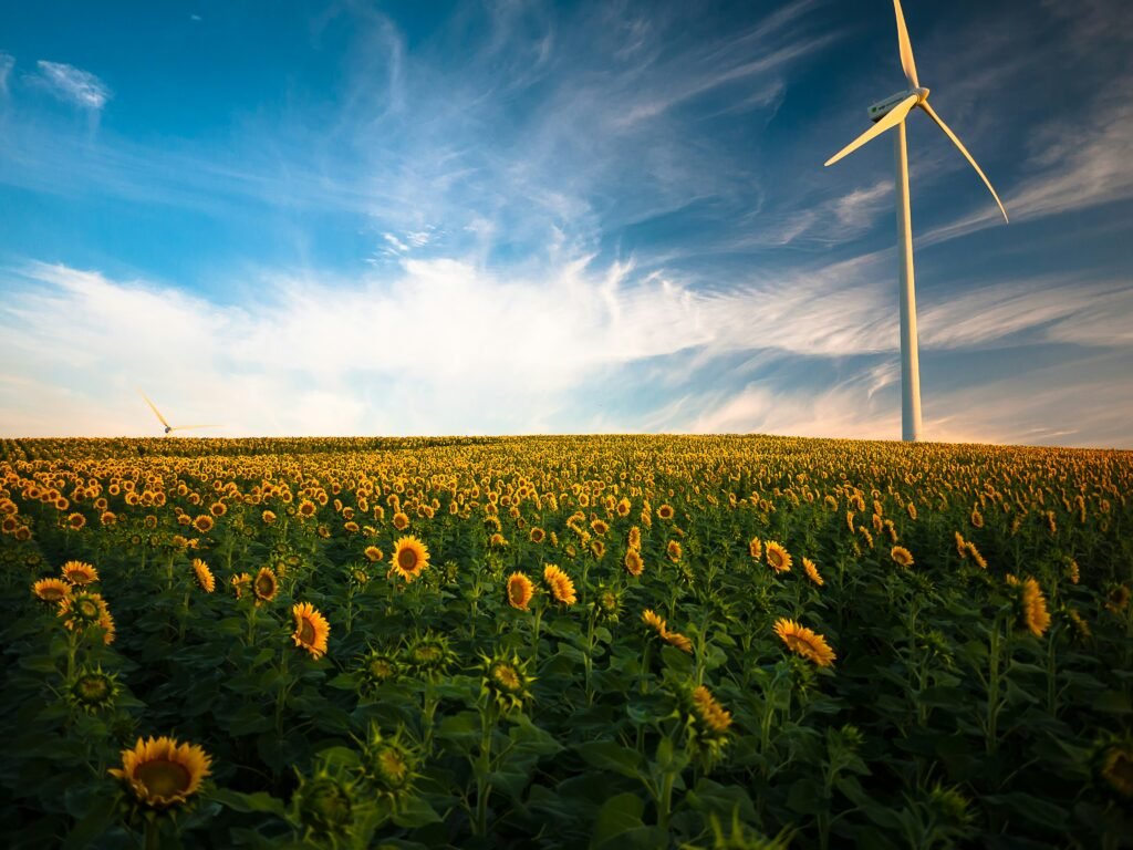 was können sie tun um die umwelt zu schonen