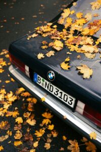 was ist bei amtlichen kennzeichen wichtig