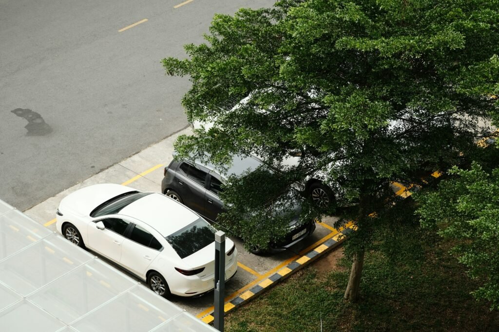 wie kann sie der aktive parkassistent beim einparken unterstützen