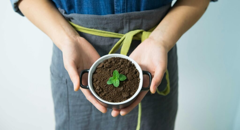Welche Pflanzen mögen keinen Kaffeesatz