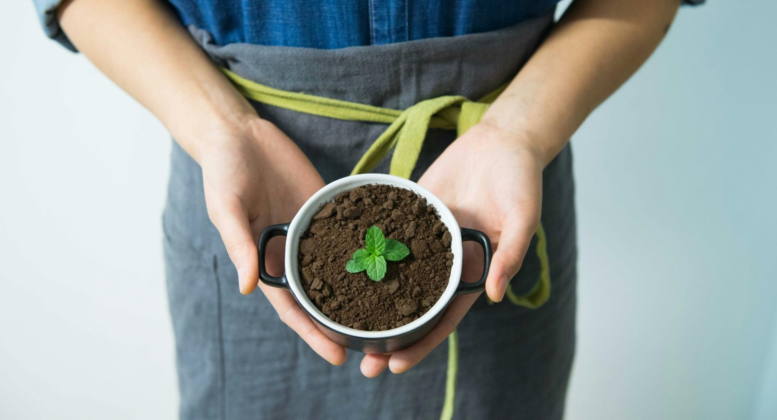 Welche Pflanzen mögen keinen Kaffeesatz
