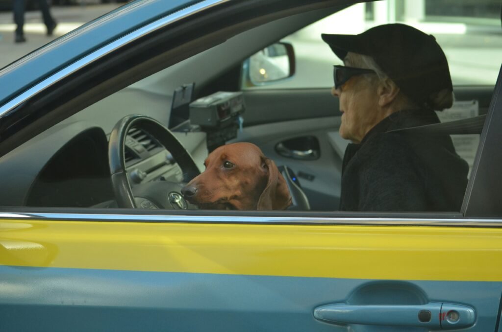 Woran erkennt man einen guten Fahrzeugführer